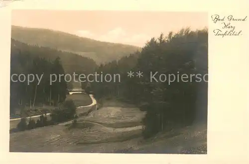 AK / Ansichtskarte Bad_Grund Moor und Fichtelnadelbad Bad_Grund