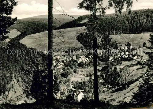 AK / Ansichtskarte Wildemann Panorama Wildemann
