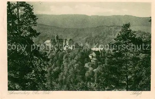 AK / Ansichtskarte Schwarzburg_Thueringer_Wald Panorama Blick zum Schloss Schwarzburg_Thueringer