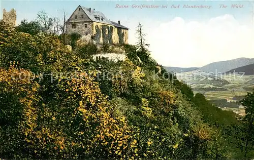 AK / Ansichtskarte Bad_Blankenburg Burgruine Greifenstein Bad_Blankenburg