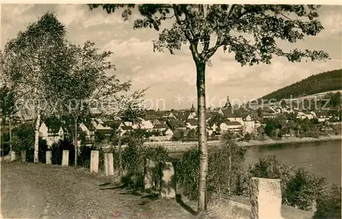 AK / Ansichtskarte Saalburg_Saale Partie an der Saale Handabzug Saalburg_Saale