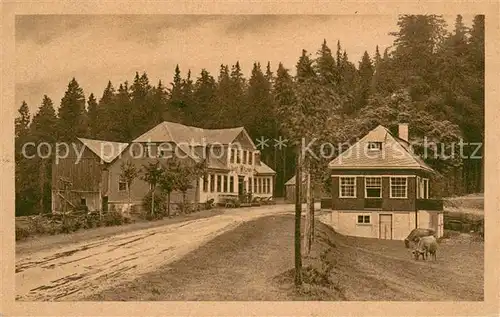 AK / Ansichtskarte Stuetzerbach Gasthof zum Auerhahn Stuetzerbach