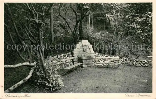 AK / Ansichtskarte Leutenberg_Thueringen Crone Brunnen Leutenberg Thueringen