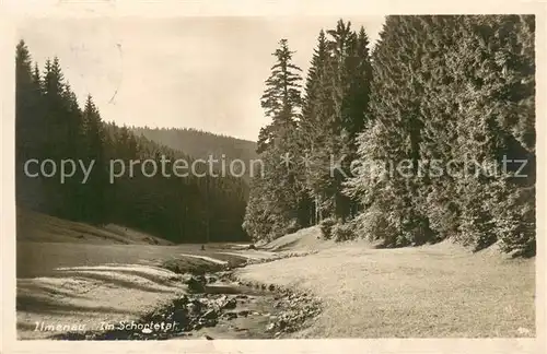 AK / Ansichtskarte Ilmenau_Thueringen Landschaftspanorama Schortetal Ilmenau Thueringen