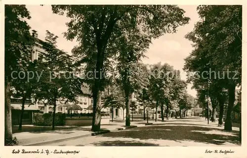 AK / Ansichtskarte Bad_Ilmenau Lindenstrasse Bad_Ilmenau