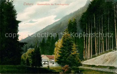 AK / Ansichtskarte Tabarz Gasthaus Massemuehle im Lauchagrund Thueringer Wald Tabarz