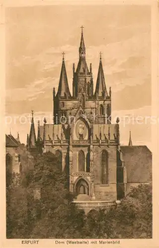 AK / Ansichtskarte Erfurt Dom mit Marienbild Erfurt