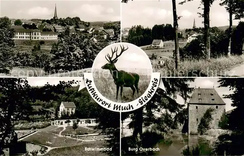 AK / Ansichtskarte Much Panorama Waldweg Hirsch Schwimmbad Burg Overbach Much