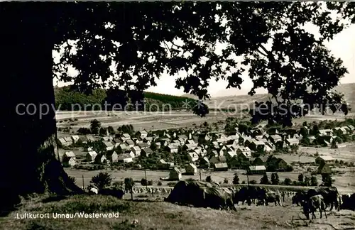 AK / Ansichtskarte Unnau_Westerwald Viehweide Ansicht vom Waldrand aus Luftkurort Unnau_Westerwald