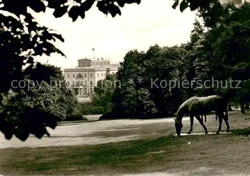 AK / Ansichtskarte Essen_Ruhr Villa Huegel Park Pferdestatue Essen_Ruhr