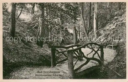 AK / Ansichtskarte Bad_Oeynhausen Waldpartie in der Oeynhausener Schweiz Bad_Oeynhausen
