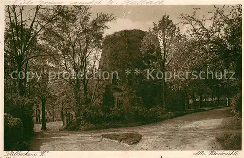 AK / Ansichtskarte Luebbecke_Westfalen Alte Windenmuehle Luebbecke_Westfalen