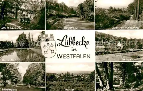 AK / Ansichtskarte Luebbecke_Westfalen Alte Bruecke Bergstrasse Maisenkopf Barre Teich Wilhelmplatz Panorama Waldrand Waldpartie Luebbecke_Westfalen