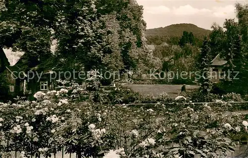AK / Ansichtskarte Luebbecke_Westfalen Feuerrenne und Reineberg Luebbecke_Westfalen