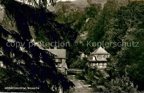 AK / Ansichtskarte Monschau Rurpartie Eifel Monschau
