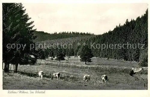 AK / Ansichtskarte Ruethen_Moehne Partie im Bibertal Ruethen Moehne