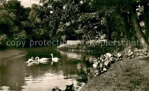 AK / Ansichtskarte Delmenhorst Idyll an der Graft Schwaene Delmenhorst