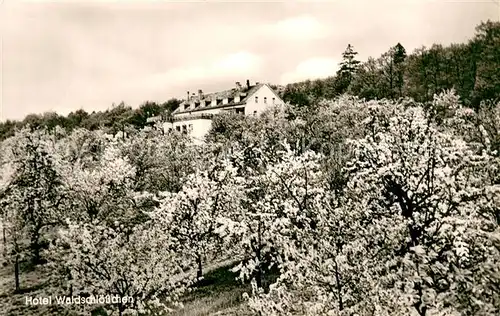 AK / Ansichtskarte Ober Rosbach Hotel Waldschloesschen Obstgarten Baumbluete Ober Rosbach