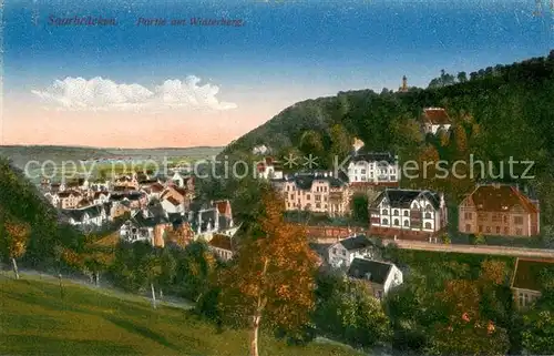 AK / Ansichtskarte Saarbruecken Partie am Winterberg Saarbruecken