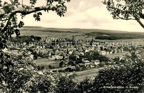 AK / Ansichtskarte Birkenfeld_Nahe Panorama Blick ins Tal Birkenfeld Nahe