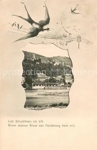 AK / Ansichtskarte Heidelberg_Neckar Uferpartie am Neckar Blick zum Schloss Briefschwalbe Heidelberg Neckar