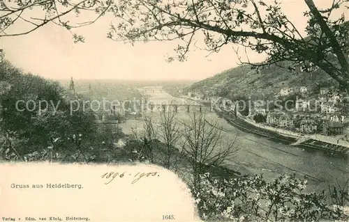 AK / Ansichtskarte Heidelberg_Neckar Panorama Blick ins Neckartal Heidelberg Neckar