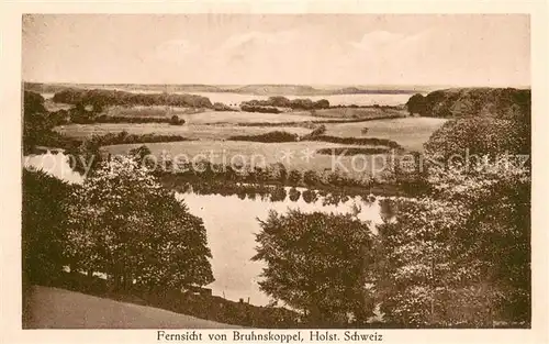 AK / Ansichtskarte Bruhnskoppel Fernsicht Landschaftspanorama Holsteinische Schweiz Bruhnskoppel