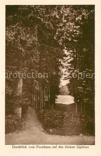 AK / Ansichtskarte Sielbeck_Holsteinische Schweiz Durchblick vom Forsthaus auf den kleinen Ugleisee Sielbeck
