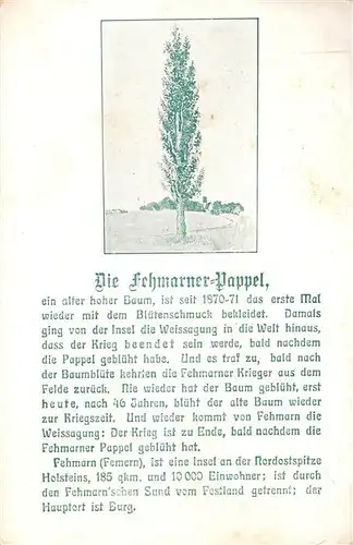 AK / Ansichtskarte Burg_Fehmarn Fehmarner Pappel Burg Fehmarn