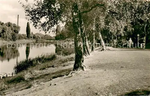 AK / Ansichtskarte Herford Partie an der Werre Herford