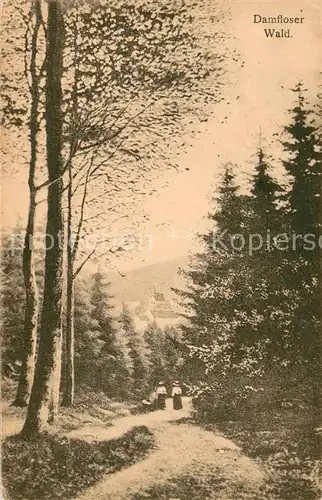 AK / Ansichtskarte Hermeskeil Damfloser Wald Hermeskeil