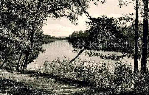AK / Ansichtskarte Moelln__Lauenburg Waldweg um den Schmalsee 