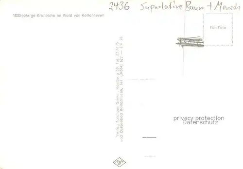 AK / Ansichtskarte Kellenhusen_Ostseebad Dickste Eiche Meister Feig Deutschlands dickster Mann Kellenhusen_Ostseebad