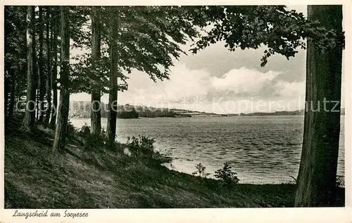 AK / Ansichtskarte Langscheid_Sorpesee Panorama Langscheid Sorpesee