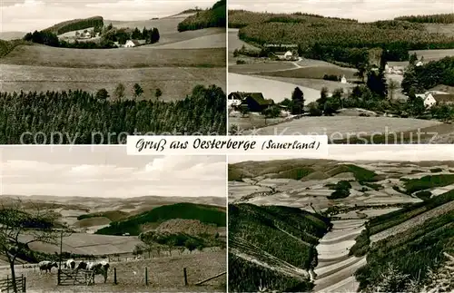 AK / Ansichtskarte Oesterberge Gasthaus Pension Bergeshoeh Panorama Oesterberge