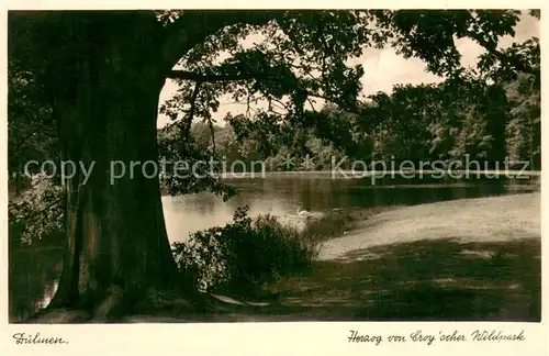 AK / Ansichtskarte Duelmen Herzog von Croy scher Wildpark Uferpartie am See Duelmen