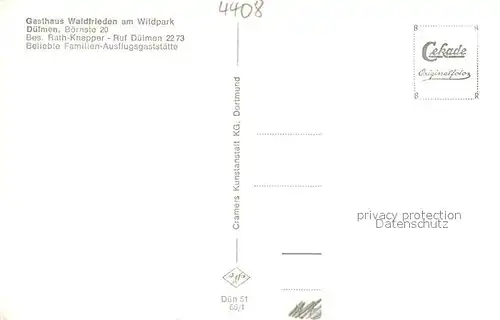 AK / Ansichtskarte Duelmen Wildpferde im Merfelder Bruch Duelmen