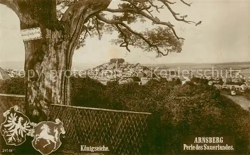 AK / Ansichtskarte Arnsberg_Westfalen Koenigseiche  Arnsberg_Westfalen