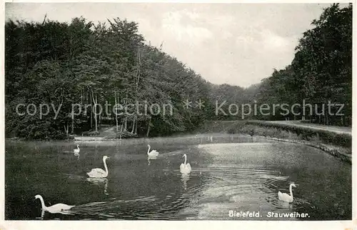 AK / Ansichtskarte Bielefeld Stauweiher Bielefeld