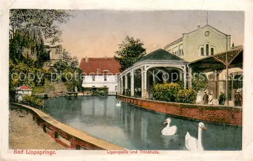 AK / Ansichtskarte Lippspringe_Bad Lippequelle  und Trinkhalle Schwaene Lippspringe_Bad