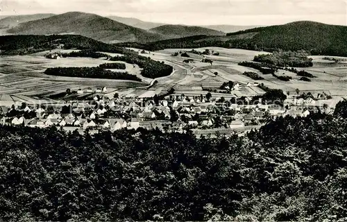 AK / Ansichtskarte Borgholzhausen Teutenburger Wald Gesamtansicht Borgholzhausen