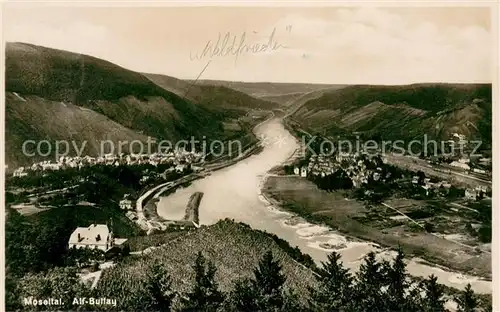 AK / Ansichtskarte Alf_Bullay_Mosel Moseltal Hotel Pension Luftkurhaus Waldfrieden  Alf_Bullay_Mosel