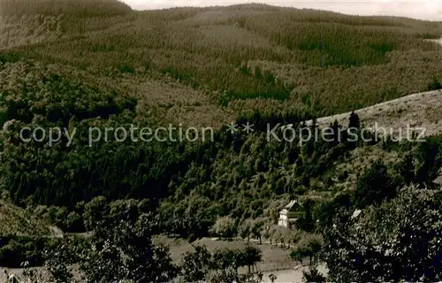AK / Ansichtskarte Liesen Pension Am Steinschab Panorama Liesen