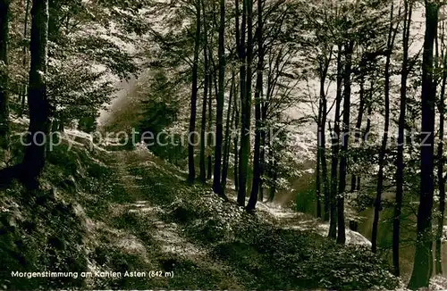AK / Ansichtskarte Winterberg_Hochsauerland Morgenstimmung am Kahlen Asten Winterberg_Hochsauerland
