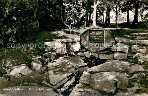 AK / Ansichtskarte Astenberg Lennequelle auf dem Kahlen Asten Astenberg