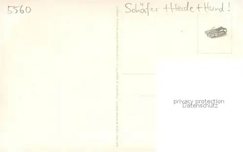 AK / Ansichtskarte Grosslittgen Ruine Himmerod Schaefer Herde und Hund Grosslittgen