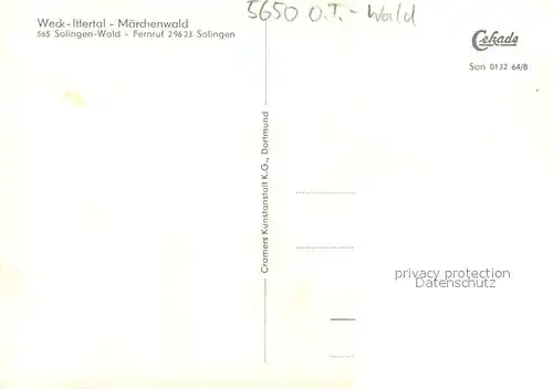 AK / Ansichtskarte Wald_Solingen Weck Ittertal Maerchenwald Restaurant Gondelteich Leuchtfontaene Wald Solingen