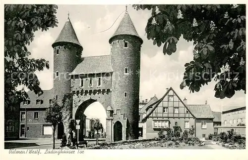 AK / Ansichtskarte Duelmen Luedinghauser Tor Fachwerk Duelmen