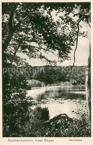 AK / Ansichtskarte Stubbenkammer_Ruegen Herthasee Stubbenkammer Ruegen