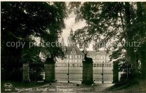 AK / Ansichtskarte Neustrelitz Schloss vom Tiergarten Neustrelitz